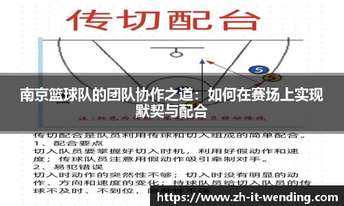 南京篮球队的团队协作之道：如何在赛场上实现默契与配合